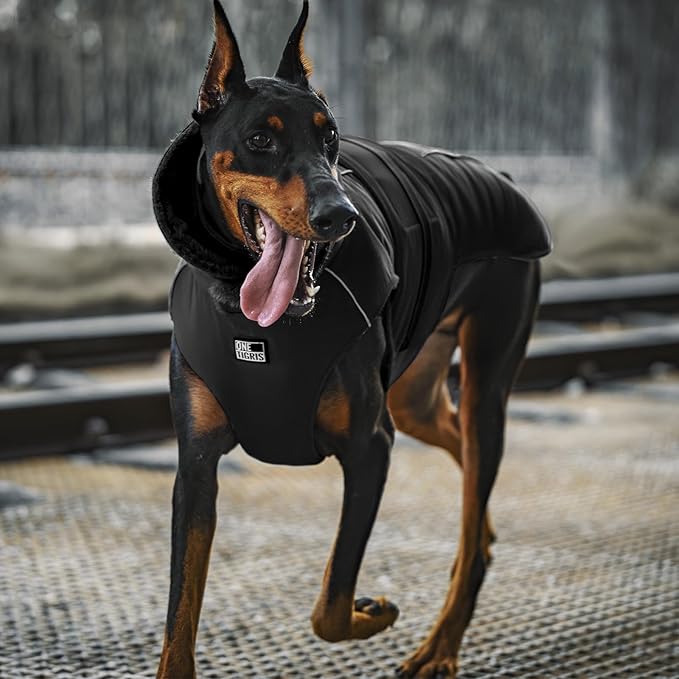 OneTigris Dog Coat Waterproof Dog Jacket with Adjustable Buckle Hook & Loop Windproof Cold Weather Coats for Small Medium Large Dogs (Black, Large)