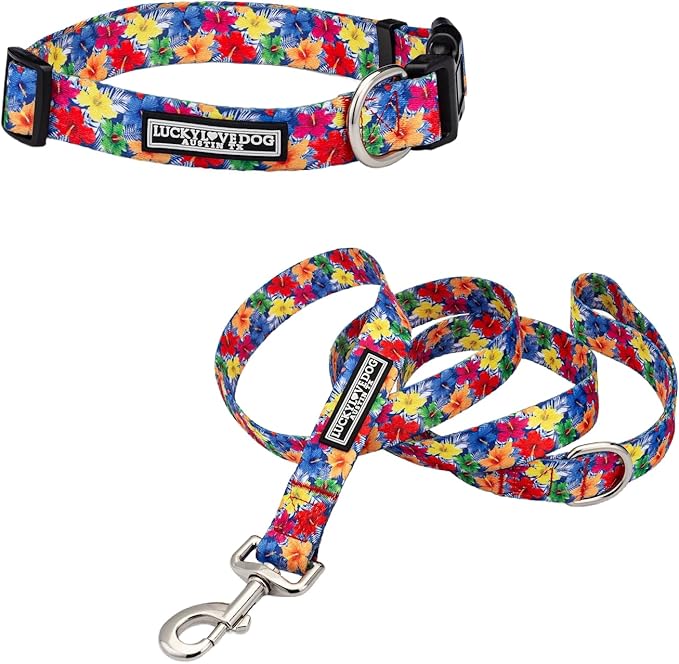 Lucky Love Dog - Easy Click Buckle Dog Collar with Leash Set Combo, Durable & Comfortable for Male & Female Dogs, Pet Collar for Small to Large Dogs, Secure Fit - Hana Combo, Medium