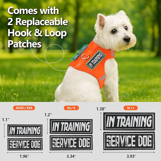 Dog Harness for Puppy – Adjustable Reflective Easy Put On Soft Mesh Vest for Small Dogs with 2 Patches (Orange,XXXS)
