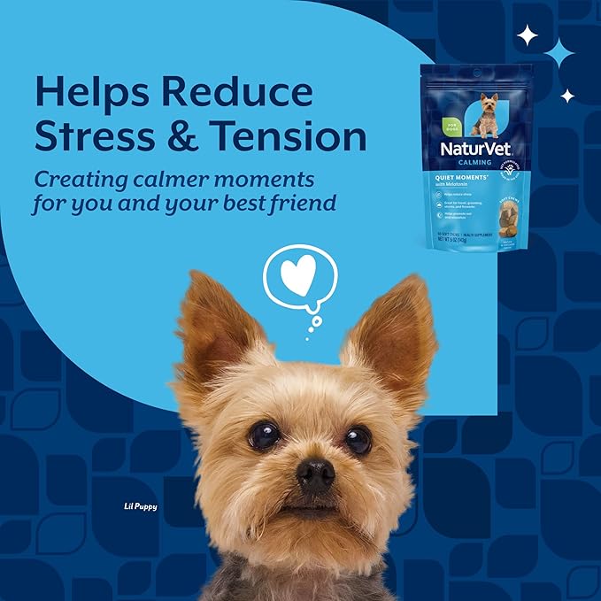 NaturVet Quiet Moments Calming Dog Supplement, Dog Soft Chews with Melatonin to Help Reduce Stress from Storms, The Vet, Fireworks, and Travel, Bacon and Chicken Flavored Pet Supplement, 65 Count
