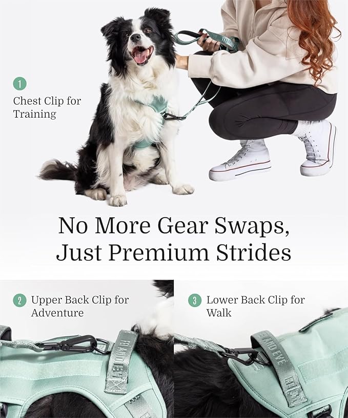 2025 New Edition, Fei & Eve MagEase Dog Harness - 3-Second Magnetic Buckles | 3-Point No-Pull Control | Heavy-Duty 900D Nylon | Dual Safety Handles | Breathable Mesh | Adjustable Fit | Small, Green