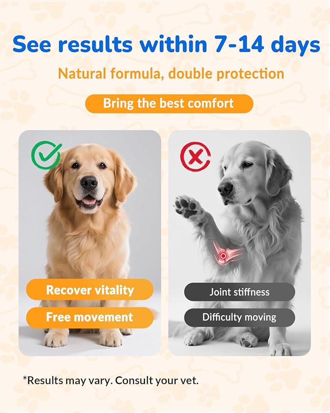 Glucosamine for Dogs 260Ct Chews - 23oz Dog Hip and Joint Supplement Chews, Chondroitin Joint Supplement for Dog, USA Lab Formula with Probiotics, Natural Support for Dogs