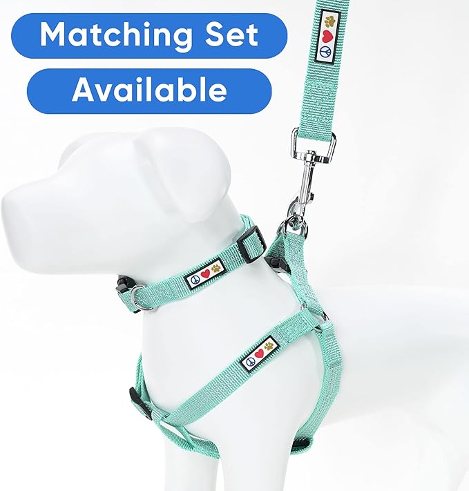 Pawtitas Reflective Dog Collar - Adjustable for Medium Dogs & Puppies - Teal