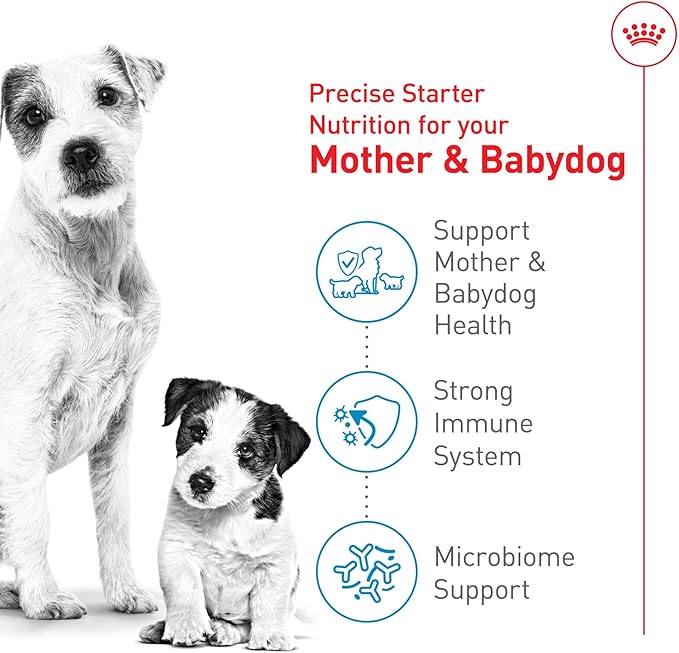 Royal Canin Size Health Nutrition Small Starter Mother & Babydog Dry Dog Food, 14 lb bag