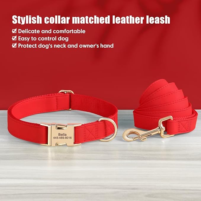PET ARTIST Personalized Dog Collars, Custom Engraved Red Dog Collar with Silent Name Tag, Gold Quick Released Buckle & Soft Nylon Padded, Elegant Colors & Matching Leash for Large Dogs,L Fit 16-27"