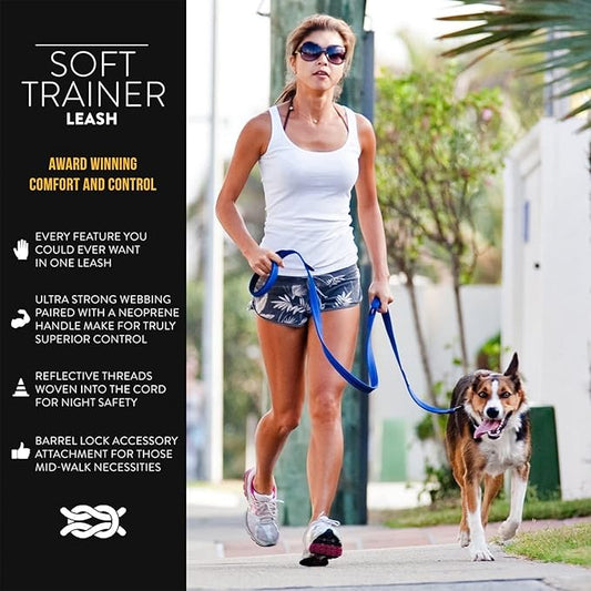 EzyDog Soft Trainer Dog Leash with Traffic Control Handle - Reflective Stitching for Nighttime Safety and Superior Strength and Comfortability for Training Small Dogs (Under 26 lbs) (72”, Orange)