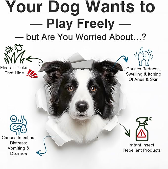 Dog Flea and Tick Treatment Chewables for Dogs Natural Chewable Flea and Tick Chicken Flavor Prevention Probiotic Dog Chews Gut Health Probiotics for Dogs Digestive Health 2 in 1 Chewable 200 Chews