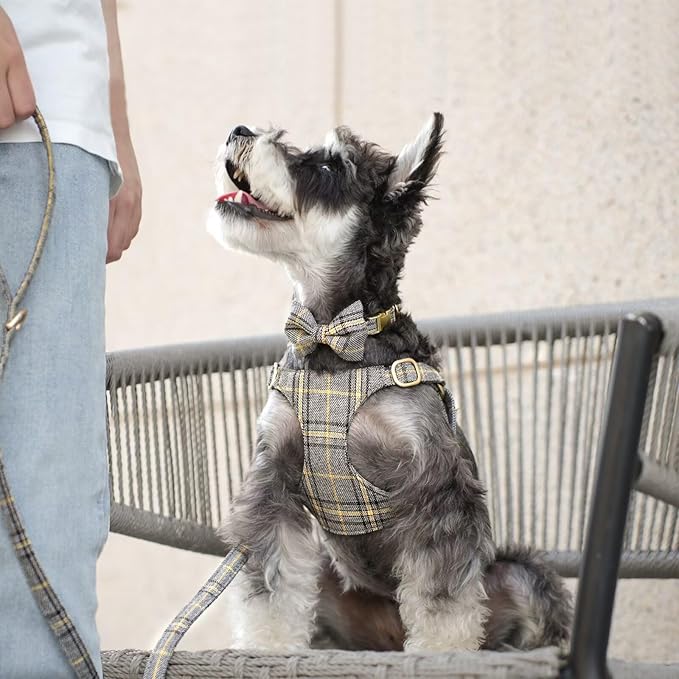 Beirui Cute Extra Small Dog Harness Collar and Leash Set with Bowtie, Soft Adjustable Plaid Puppy Harness for Small Sized Dogs Cats Walks Parties and Photoshoots(Gray,XS:Chest 13-18")