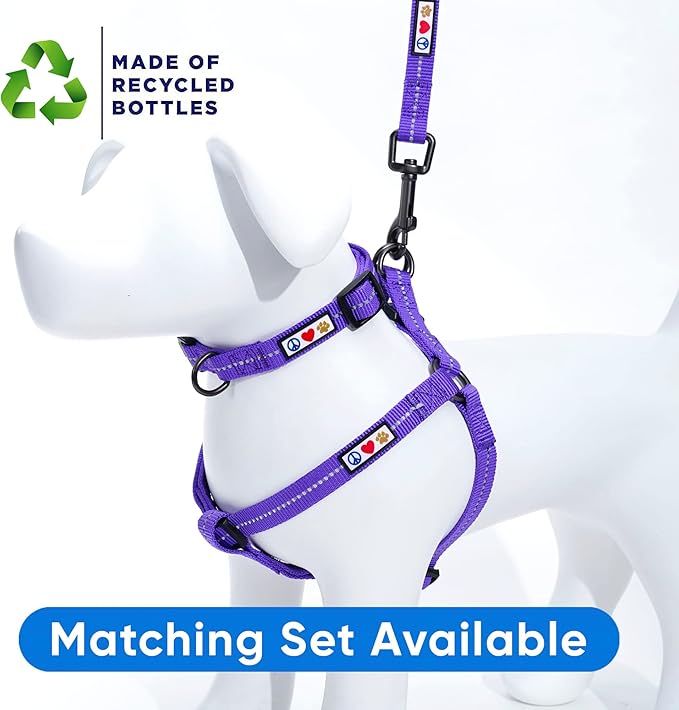 Pawtitas Recycled Dog Collar with Reflective Stitched Puppy Collar Made from Plastic Bottles Collected from Oceans Medium Purple Quartz