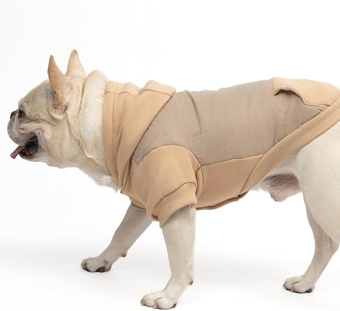 KOOLTAIL Warm Dog Winter Coat for Small Dogs, Waterproof Puppy Jacket with Leash Hole, Cold Weather Pet Vest for Winter, Soft Pet Hoodie Sweater Sweatshirt Clothes for Puppy Cats Girls Boys Beige L