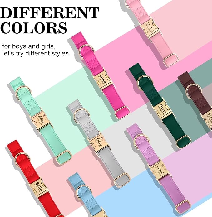 PET ARTIST Personalized Dog Collars, Custom Dog Collar with Engraved Silent Name Tag, Gold Quick Released Buckle & Soft Nylon Padded, Elegant Colors & Matching Leash for Small Dogs,Mint,M Fit 13-19"