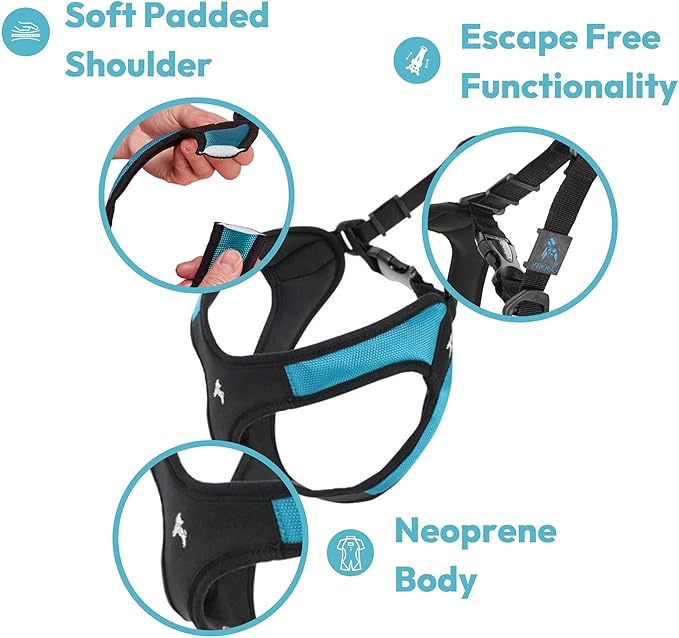 Gooby Escape Free Easy Fit Harness - Orange, Small - No Pull Step-in Patented Dog Harness with Quick Release Buckle for Small to Medium Dogs