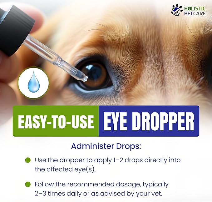 Holistic Pet Care Eye Ulcer Drops - Colloidal Silver with DMSO Drops for Dogs & Cat Eye Infections & Irritations -Eyes Care Solution Reduces Cataracts - All Natural Pet Health Care (4 oz)