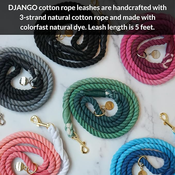 DJANGO Cotton Rope Dog Leash 5ft – Handcrafted Dog Leash and Cream Braided Leash for Small, Medium, and Large Dogs – Durable 5 Foot Training Lead for Puppies and Adult Dogs – Silver Hardware – Ivory