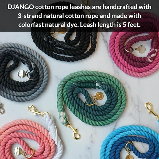 DJANGO Cotton Rope Dog Leash 5ft – Handcrafted Dog Leash and Cream Braided Leash for Small, Medium, and Large Dogs – Durable 5 Foot Training Lead for Puppies and Adult Dogs – Silver Hardware – Ivory