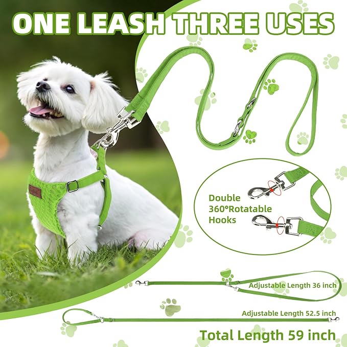 PUPTECK Dog Harness and Leash Set Small Sized, Step-in Cute Puppy Harness, Soft Lightweight Padded Vest, Escape Proof No Pull Pet Harnesses Easy for Walking, Green, XS