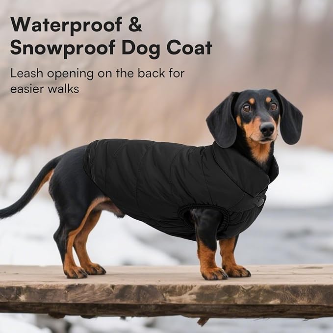 ASENKU Windproof Dog Winter Coat Waterproof Fleece Jacket Cold Weather Pet Apparel for Small Medium Large Dogs (Black, 2XL)