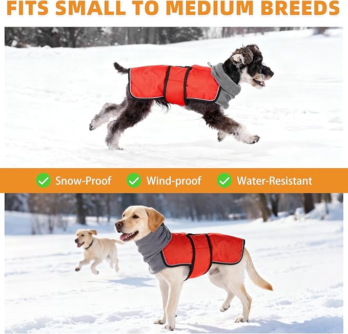 KOOLTAIL Dog Winter Coat for Small Medium Dogs Christmas, Waterproof&Windproof Puppy Jacket with Fleece Lining and High Collar for Cold Weather, Warm Pet Snowsuit Vest Clothes with Leash Hole, Red L
