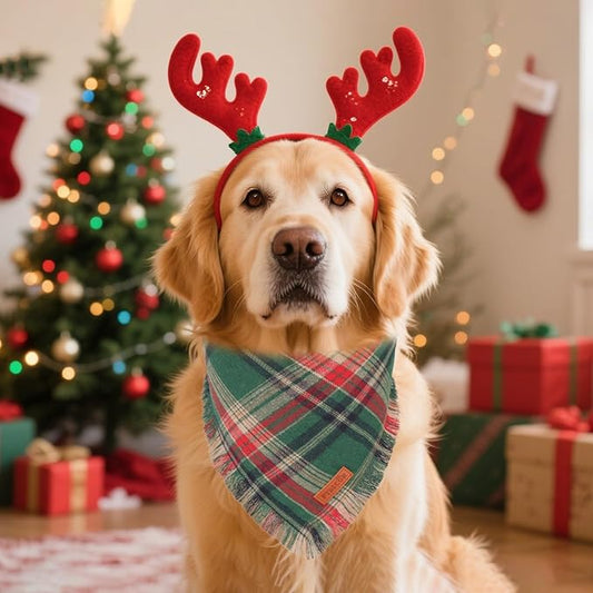 PTDECOR Christmas Dog Bandanas with Tassels Edges, 2 Pack Red Green Plaid Scarf Bib, Reversible Triangle Xmas Bandanas for Extra Large Dogs (X-Large)