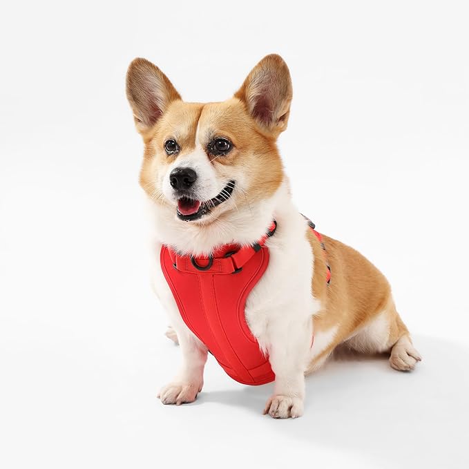 HNS1002M Arlo Medium Adjustable Soft Padded No Pull Pet Harness with 3 Buckles and 3 Leash Clips, Shirley