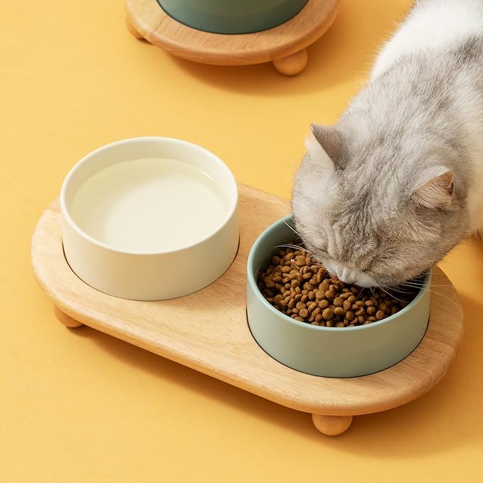 Havniva Ceramic Elevated Cat Food and Water Bowl, Kitty Bowl, Raised Cat Dish, Pet Feeder (5.1 in, 2 x Beige + Stand)