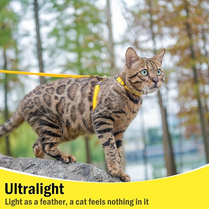 PUPTECK Adjustable Cat Harness and Leash Set Escape Proof Kitten Strap Collar for Walking Travel, Yellow, M