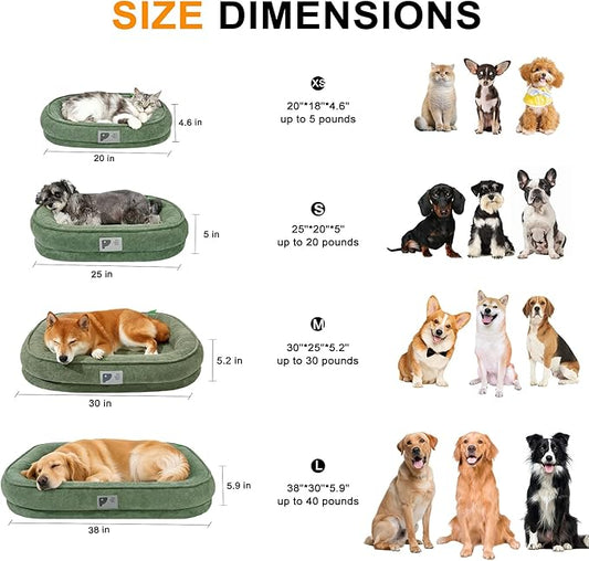Orthopedic Cat Bed for Puppy and Kitten,Soft Cat Beds for Indoor Cats,Washable Dog Bed with Removable Cover&Non-Slip Bottom with Four-Sided Bolster Green XS