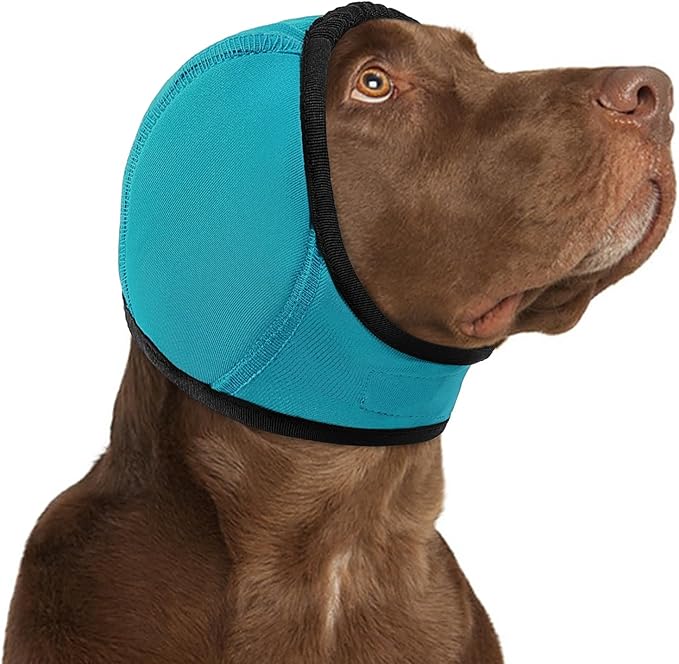 KOESON Dog Calming Hoodie - No Shake Ear Wraps for Dogs, Anxiety Relief & Noise Protection, Water Resistant Pet Ear Cover Muffs for Firework, Grooming, Thunderstorms, Swimming, Bathing, Turquoise M
