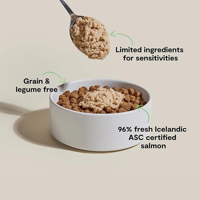 Open Farm, Canned Dog Food Topper, Silky Mousse Made with 96% Responsibly Sourced Icelandic Fish, Grain & Legume Free, Salmon Recipe, 4.59oz Cans (Pack of 12)