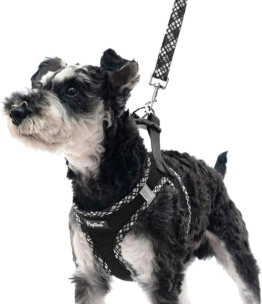 PUPTECK Dog Harness and Leash Set for Small Medium Dogs No Pull Step-in Soft Mesh Puppy Cat Vest Harnesses Reflective at Night, Black S