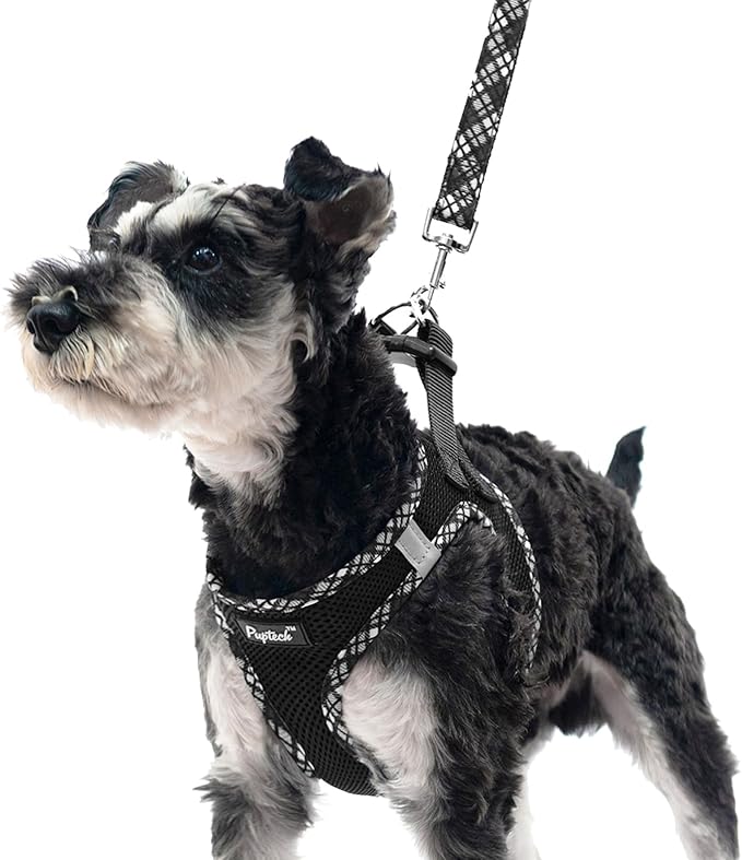PUPTECK Dog Harness and Leash Set for Small Medium Dogs No Pull Step-in Soft Mesh Puppy Cat Vest Harnesses Reflective at Night, Black M