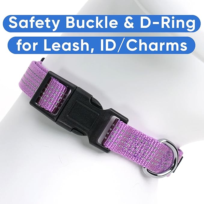 Pawtitas Reflective Dog Collar Adjustable Dog Collars for Small Dogs Puppy Collar Small Dog Collar Orchid Purple Dog Collar