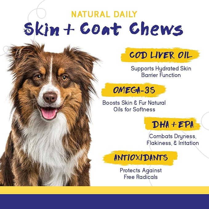 PupGrade Skin & Coat Soft Chew Supplement for Dogs – Supports Healthy Skin, Coat, and Immune Function - Rich in Natural Fish Oil, Omega Fatty Acids, and Vitamins – 60 Soft Chews