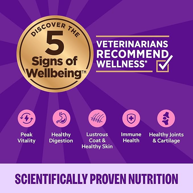 Wellness Complete Health Gravy Adult Wet Cat Food, Natural, Protein-Rich, Grain Free, 3 Ounce, 12 Pack, (Chicken & Tuna Dinner)