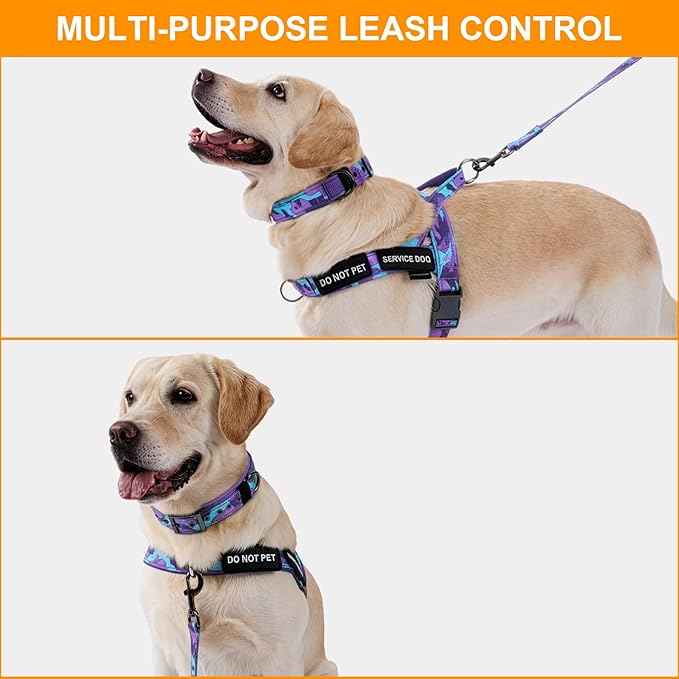 Annchwool No Pull Dog Harness,Collar & Leash Set|Dog Harness with Handle+Heavy Duty Dog Collar+Dog Leash with Double Handle & Car Seatbelt Clip|Easy for Walking Medium Large Size Dogs(Camo Purple,L)