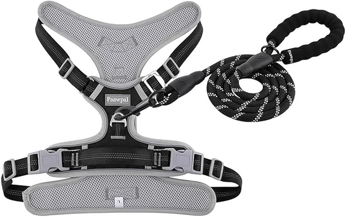 Adjustable Dog Harness - No Pull, Reflective, Soft Padded for Small, Medium, Large Dogs - Includes Leash Black XS