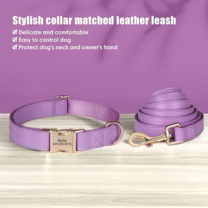 PET ARTIST Personalized Dog Collars, Custom Dog Collar with Engraved Silent Name Tag, Gold Quick Released Buckle & Soft Nylon Padded, 9 Colors & Matching Leash for Large Dogs,Purple,L Fit 16-27"