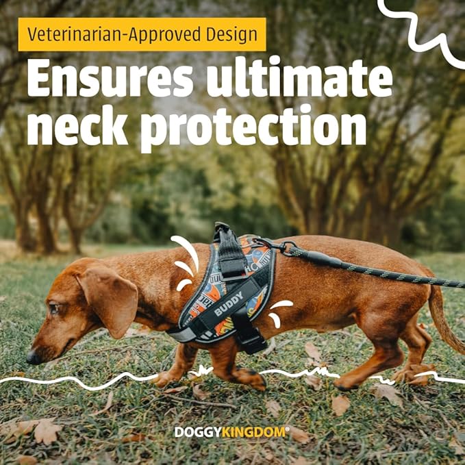 Personalized No-Pull Dog Harness with Name Patch, Adjustable, Reflective, Padded, Heavy Duty Pet Vest to Prevent Tugging, Pulling, or Choking, Training and Walking, Military Desert, L