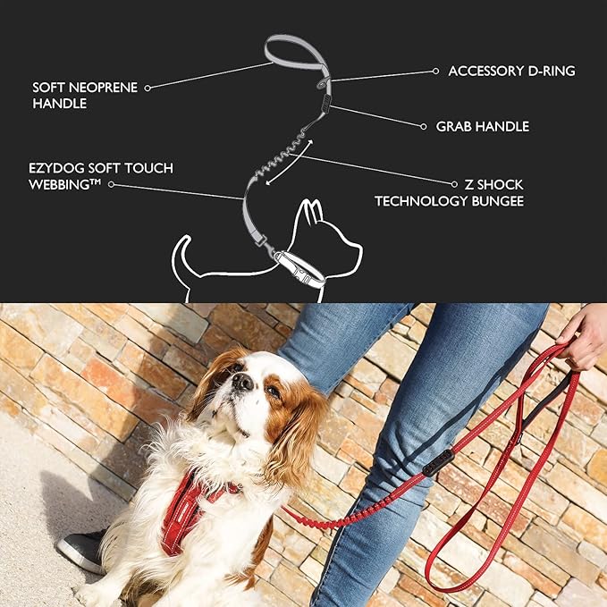 EzyDog Zero Shock LITE Dog Leash - Shock Absorbing Bungee Leash for Dogs That Pull or Excite - Dual Handle and Reflective for Medium, or Small Dogs (48", Blue)