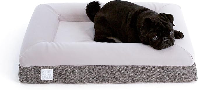 Luxury Essential Orthopedic Memory Foam Dog Bed with Waterproof Liner and Machine Washable Cover with YKK Zippers (Small 29" L x 23" W x 6" Th)