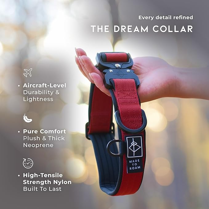 MADE TO ROAM Comfort Collar - Adjustable Nylon Dog Collar with Soft Comfortable Padding, Light Aviation Aluminum Metal Buckle for Small, Medium and Large Dogs (Texas Flair, Size 5)