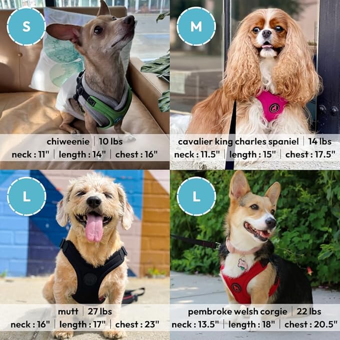 Gooby Escape Free Sport Harness - Lime, Medium - No Choke Step-in Patented Neoprene Small Dog Harness with Four-Point Adjustment - Perfect on The Go Dog Harness for Medium Dogs No Pull and Small Dogs