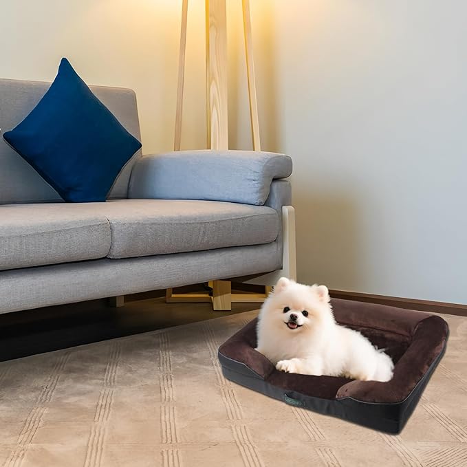 Orthopedic Egg-Shaped Sponge Dog Bed Medium Size Dog with Sides, Removable Cover and Non-Slip Bottom (Brown, 28 * 23 * 6)
