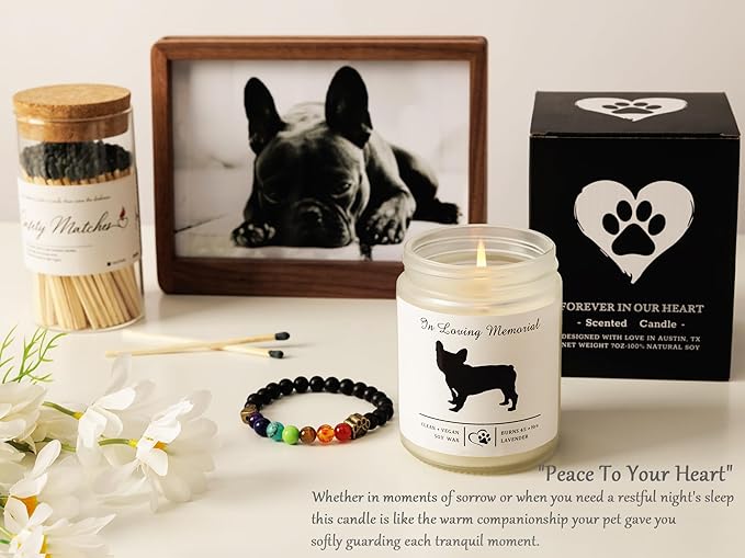Soy Wax Scented Dog Memorial Candle, Loss of Dog Gift Candle, Dog Sympathy Candle, Dog Memorial Gifts for Loss of Dog, Thoughtful Sympathy, Remembrance - 7 Ounces (Dachshund)