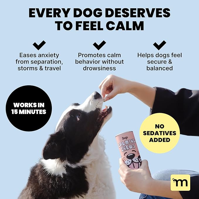 MalsiPree Calming Chews for Dogs - 145 pcs Salmon - Helps Regulate Mood - Anxiety Relief Treats - No Sedative Effect - Freeze Dried - with Passion Flower & Melatonin