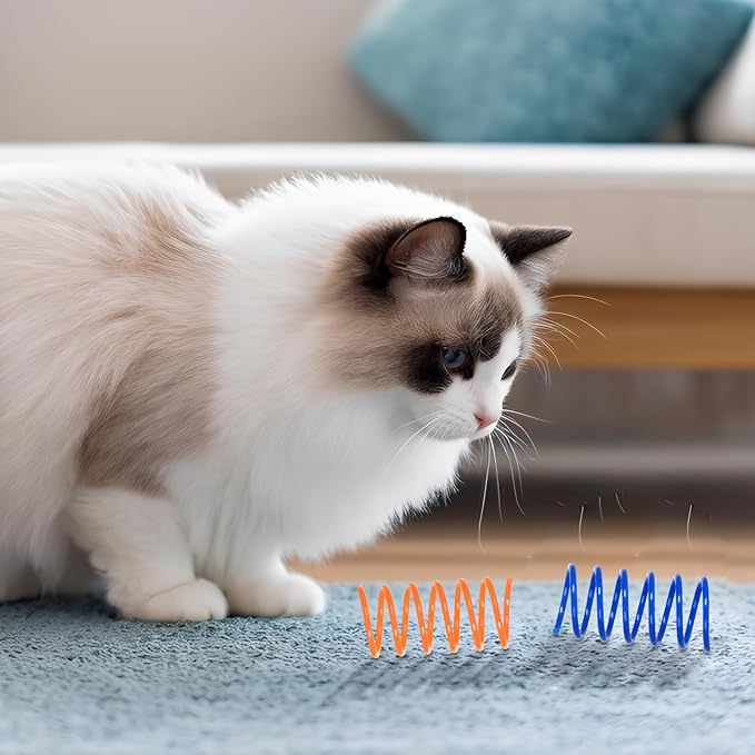 FAXLEVY 100 Pack 10 Colors Cat Spring Toys, Plastic Spiral Spring Cat Toys for Indoor Cats, Colorful Interactive Toy for Kittens, Cat Exercise Toys for Active Play