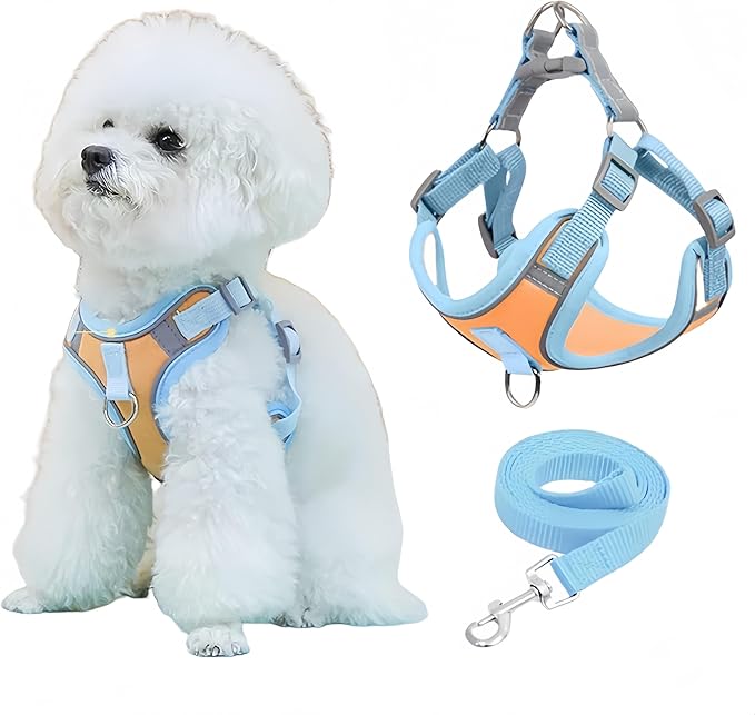 NOWFRESH Cats and Small Dogs Harness and Leash for Walking - Escape Proof Soft Adjustable Vest, Breathable with Reflective Strips for Easy Control（Blue and Orange）