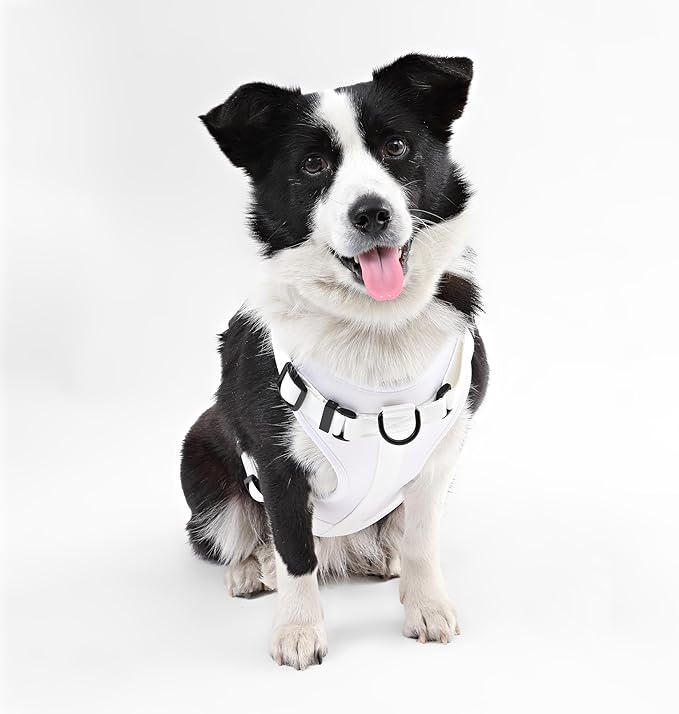 HNS1003F Arlo Large Adjustable Soft Padded No Pull Pet Harness with 3 Buckles and 3 Leash Clips, Seltzer