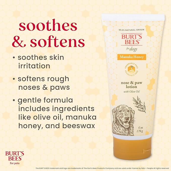 Burt’s Bees for Pets Paw & Nose Lotion for Dogs with Manuka Honey and Olive Oil, Soothes Dry Dog Paws -Naturally Derived Ingredients, 6 Oz