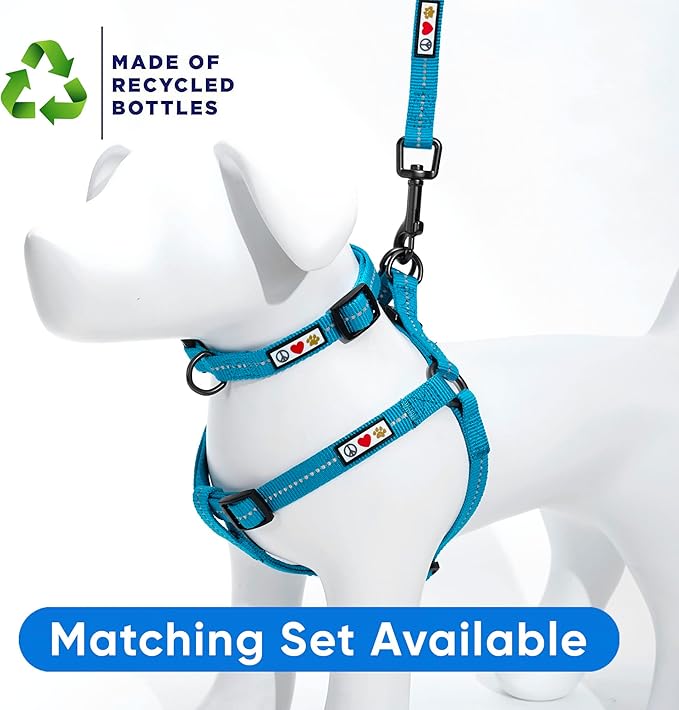 Pawtitas Recycled Dog Collar with Reflective Stitched Puppy Collar Made from Plastic Bottles Collected from Oceans Extra Small Teal Turquoise Wave